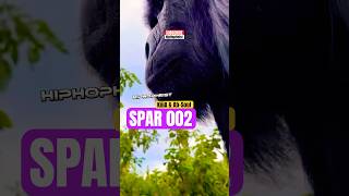 @KIIIATV ft @Souloho33  “SPAR 002” Out Now!!! #hiphopheist #absoul #KiiiA #hiphop #soulburger