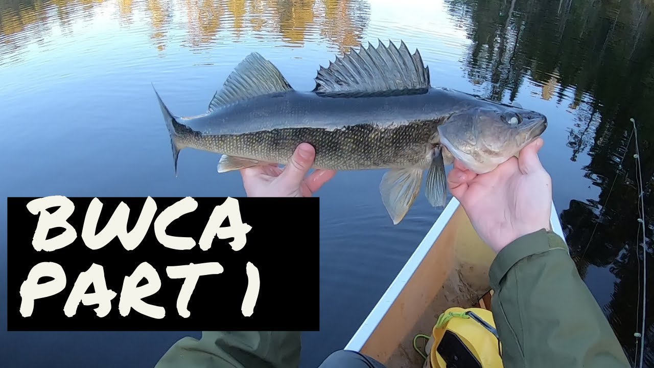 Boundary Waters Fishing Walleye Paradise Part 1 YouTube