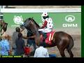 Funcaandun Wins Seeking My Dream In Style, Sat, May 16, 2026, 4th