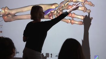 Anatomage Table | Fox Valley Technical College