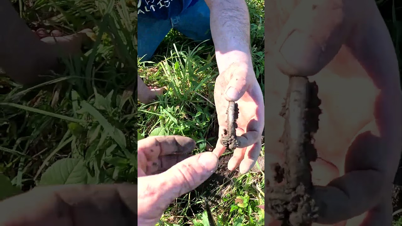 Карманные часы с металлоискателем 1800 года, монеты, реликвии, старые игрушки, ферма, Западный Нь...