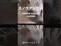 バンドのボーカルがユニゾンの「スノウアンサー」を歌ってみました! #shorts