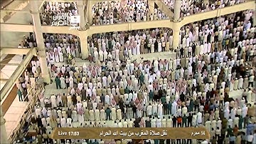 صلاة المغرب الشيخ ماهر المعيقلي 1435/1/14 - سورة الشمس و الليل