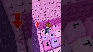 Secret Chest Hidden Behind the Wall 😲 in +1 Keyboard Escape