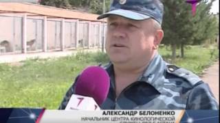 Около 11 кг героина в Астане нашли служебные собаки Около 11 кг героина в Астане нашли служебные собаки