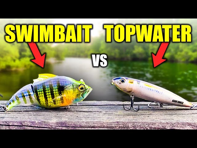 TOPWATER vs SWIMBAIT Fishing TOURNAMENT!!! (BIG FISH) 