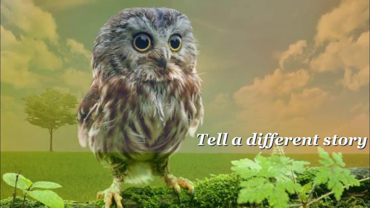 ABRAHAM-HICKS ~ TELL A DIFFERENT STORY ~ music by Francine Jarry ABRAHAM-HICKS ~ TELL A DIFFERENT STORY ~ music by Francine Jarry