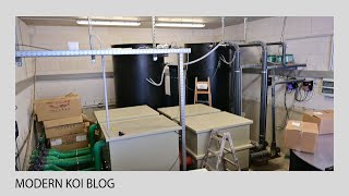 Modern Koi Blog #5224 - Ole brand new indoor tank with oversized filter