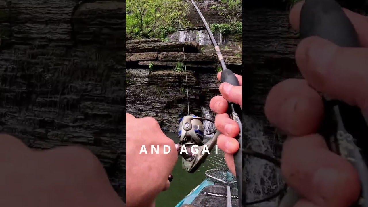 Bluegill Bonanza in the Rain! 🎣☔