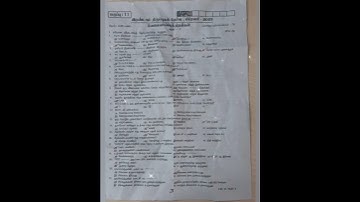 11th Employability skills 2nd Revision paper #11th #employabilityskills #revision