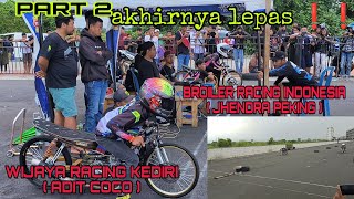 AKANKAH ADA LAGA REVAN ?..|| BROILER/GIMBBOY ( PEKING ) 🆚 WIJAYA RACING KEDIRI ( ADIT )