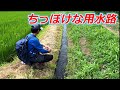 ちっぽけな用水路に潜む渓魚たち