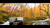 Сергей Кузнецов-Светлый