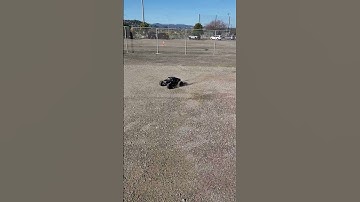 Arrma fireteam 6s drifting and bashing