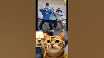 Thumbnail of What a dance! 🗿 #cat #meme #dance #funny