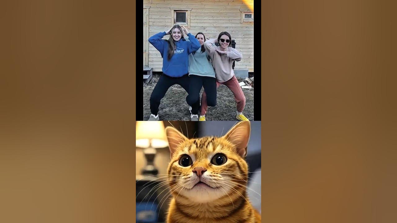 What a dance! πΏ #cat #meme #dance #funny What a dance! πΏ #cat #meme #dance #funny