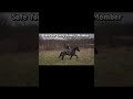 He’s as big as a whale - and as gentle as a lamb! #horse #drafthorse #percheron #equestrian