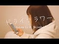 ドライフラワー / 優里 【テスト撮りver】(cover by 篠崎愛)