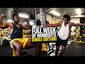 Full week of workouts swole edition  all experience levels