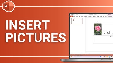 How to Insert Pictures from Google in PowerPoint