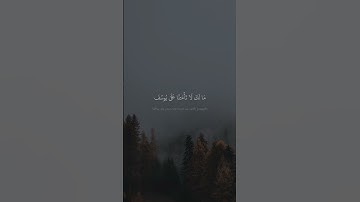 ﴿  قَالُوا۟ یَـٰۤأَبَانَا مَا لَكَ لَا تَأۡمَ۬نَّا ﴾ #الشيخ_محمد_صديق_المنشاوي || سورة يوسف
