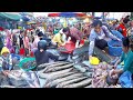 How Fish, Seafood, Vegetables, & More Are Distributed In Cambodian , Street Food Compilation