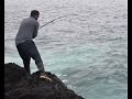 Rock fishing / Pesca nas rochas / الصيد الصخور / Pesca Sargo / Pesca saragui sulla roccia