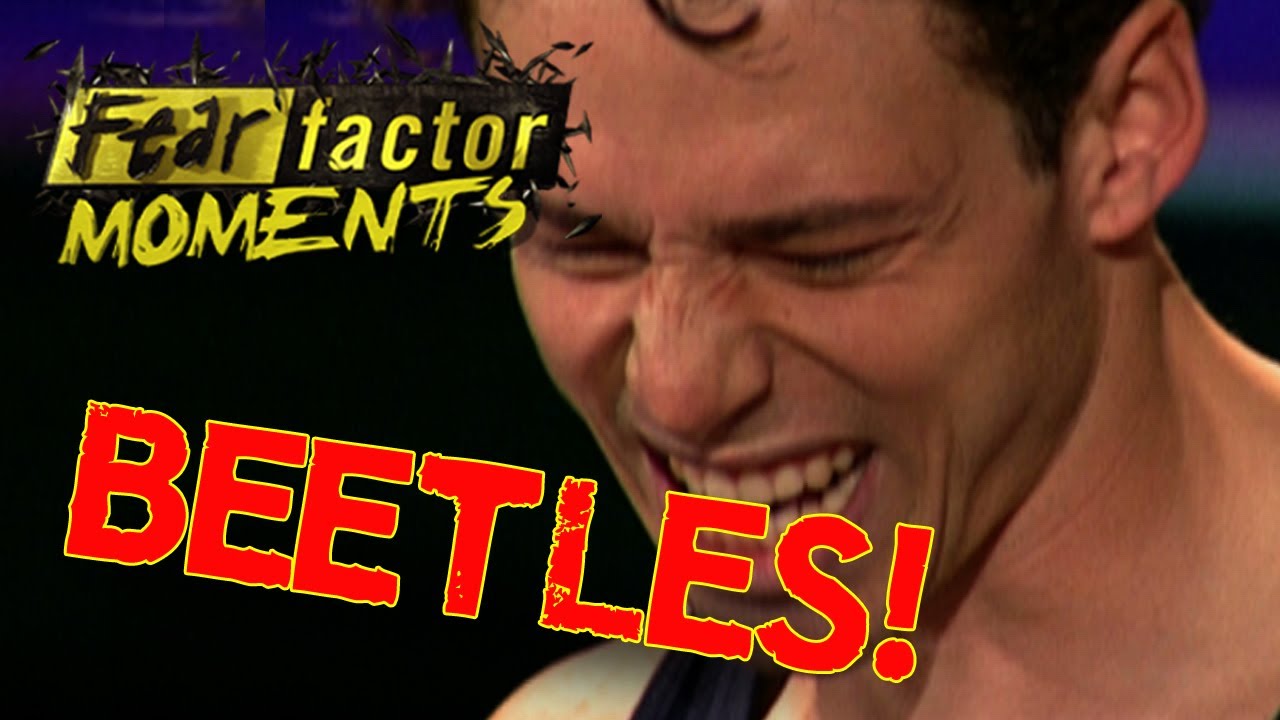 beetles tuneados Fear Factor Moments | Eat Beetles