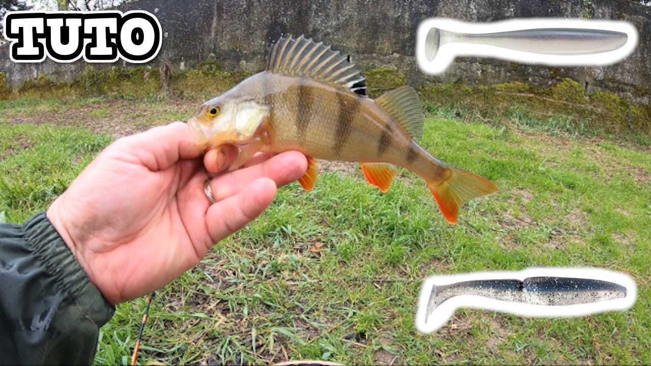 Leurre souple couleur Perche pour la pêche du Brochet