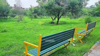 30 Minutes of Nature & Trees 🌳 | Relaxing Scenic Journey | Respect Pulse 