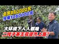 大环境下人人都难，二嘎子茶王竟逆市上涨？去年98万今年108万？购茶请加微信/赖line2号店：HDLG002 #普洱茶#古树茶 #老班章 #古树茶#茶#茶叶#茶葉#古樹茶 #普洱茶wechat