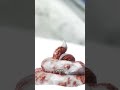 سر البراز على قمة إيفرست 