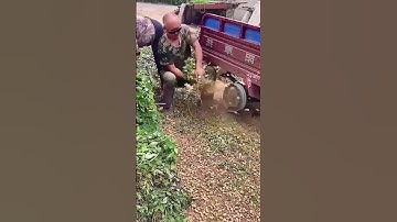 Smart skills for removing nuts from vehicle wheels #shorts