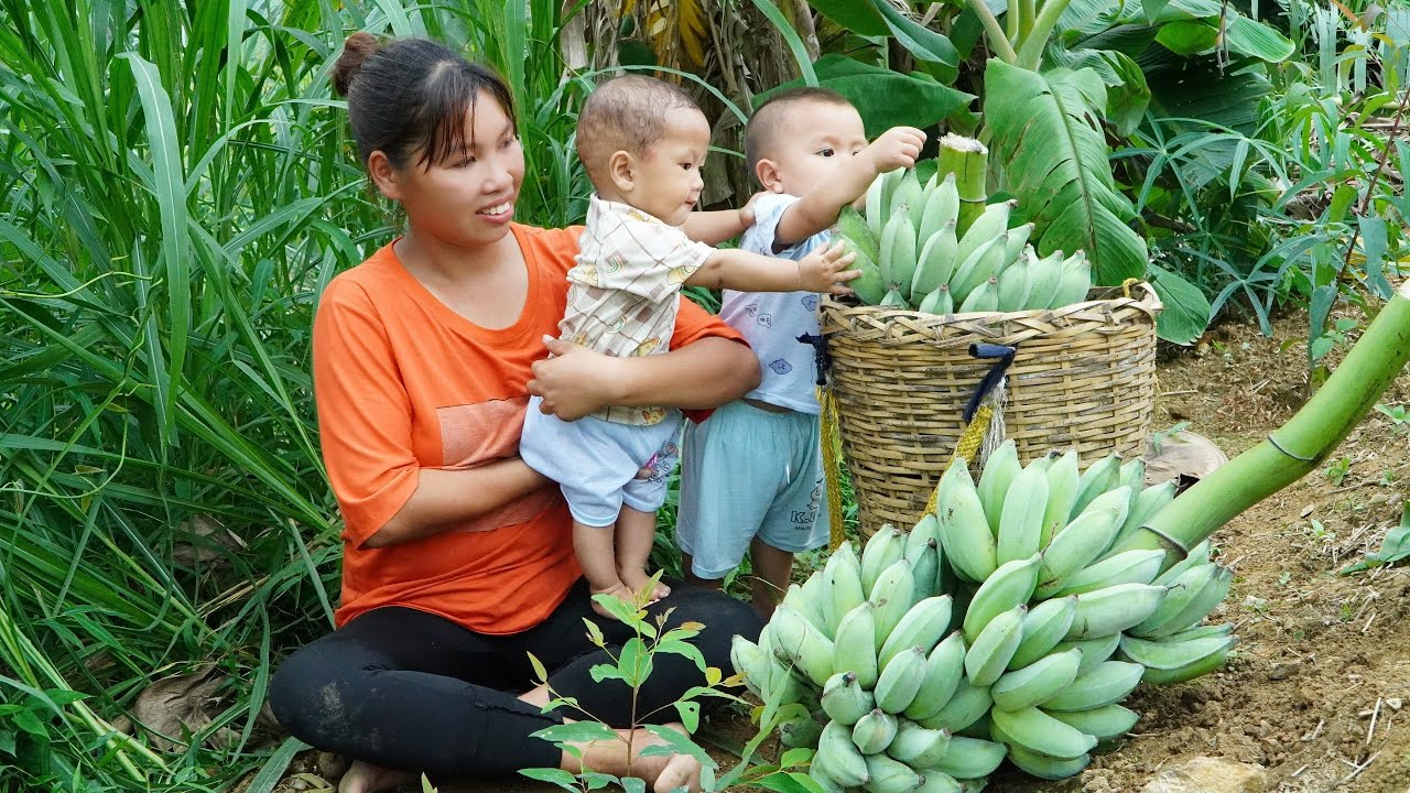 Single mother | Harvest spinach goes to the market sell \u0026 Take care of two children - Daily life