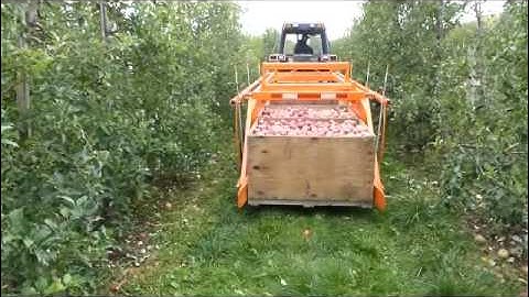 Huron Fruit Systems Bin Trailer - Moving 5 apple bins at a time