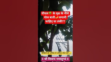 पीपल🌳 के वृक्ष के नीचे गोल बाती🪔 लगानी चाहिए या लंबी?? #upay #trending #pandit_pradeep_ji_mishra