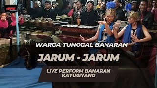 MENDHEM JARUM-JARUM LENGGER WONOSOBO - WARGA TUNGGAL