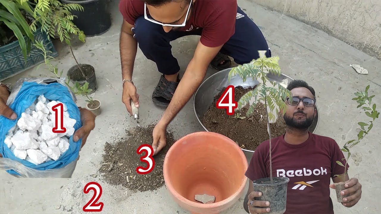 How to prepare soil for planting | Easy Soil Mix Recipe for Successful ...