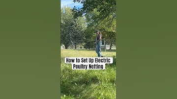 I ❤️ @premier1supplies Electric Poultry Netting #raisingchickens #layinghens #backyardchickens