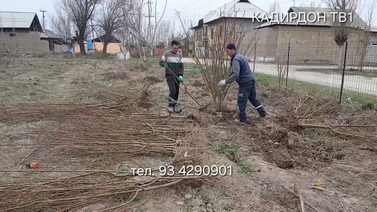 3 марта 2026 г.