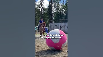 Working With A Client’s EMM Mustang! Part 11! | The Horse Guru - Michael Gascon