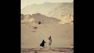 Aaron Kenny - Desert Caravan