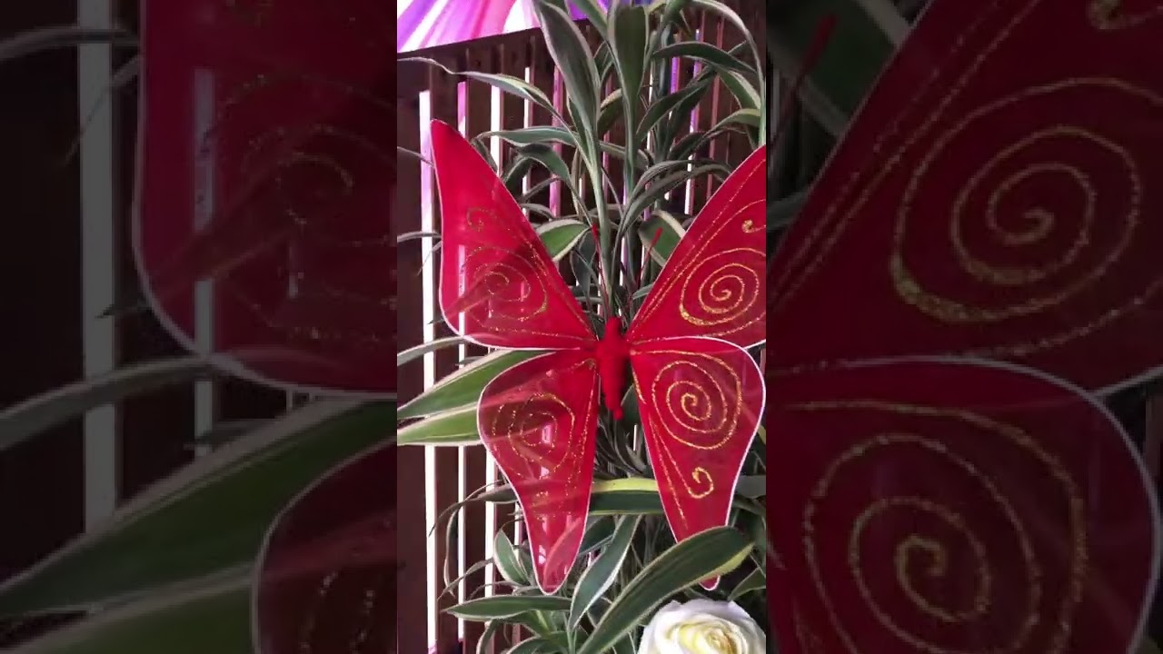 AWESOME DECORATIONS WITH RED & PURPLE BUTTERFLY 