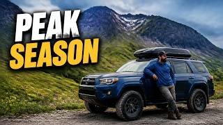 Yankee Boy Basin Behind the Scenes! Extended Episode of the Best Wildflower Trail on the Alpine Loop