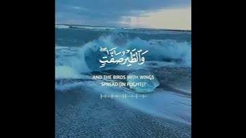 أَلَمْ تَرَ أَنَّ اللَّهَ يُسَبِّحُ لَهُ مَن فِي السَّمَاوَاتِ وَالْأَرْضِ سورة النور (41) #explore