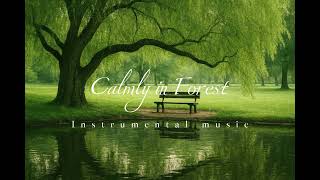 Download Lagu Calmly in Forest Instrumental Music || High Quality Audio 🌿 MP3