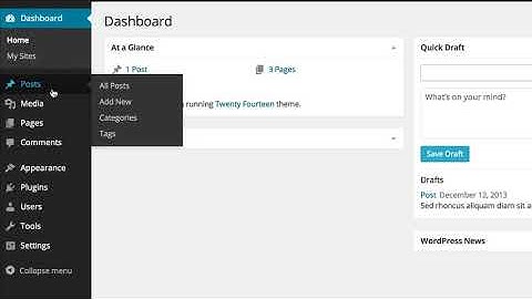 Web Design Adelaide - Wordpress Instructional Video 4 "The Quick Draft"