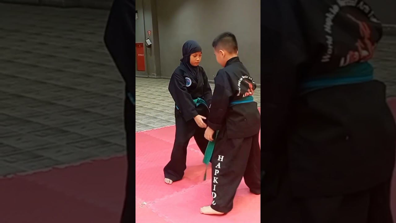 Hapkido Training Tips Part 5 2024, Green Bluue Stripe Belt Self Defense Technique 