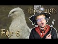 MEINE COMMUNITY ALS HAUSTIERE in Hogwarts Legacy! | Folge 6 | Lets Play Deutsch