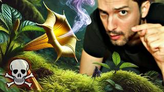 Tödliche Pflanze Mit Giftigem Duft Überall Erhältlich